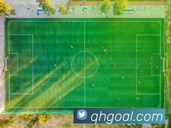 九游会官网平台生态图